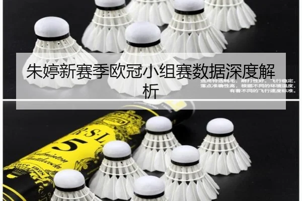 朱婷新赛季欧冠小组赛数据深度解析